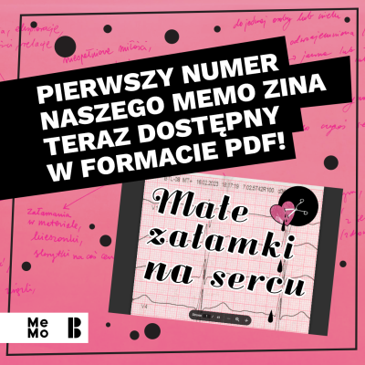 zin_dostepny_pdf_.png